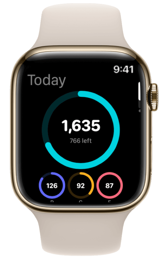 Macro dashboard on Apple Watch