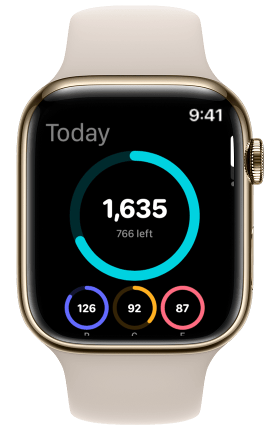 Macro dashboard on Apple Watch