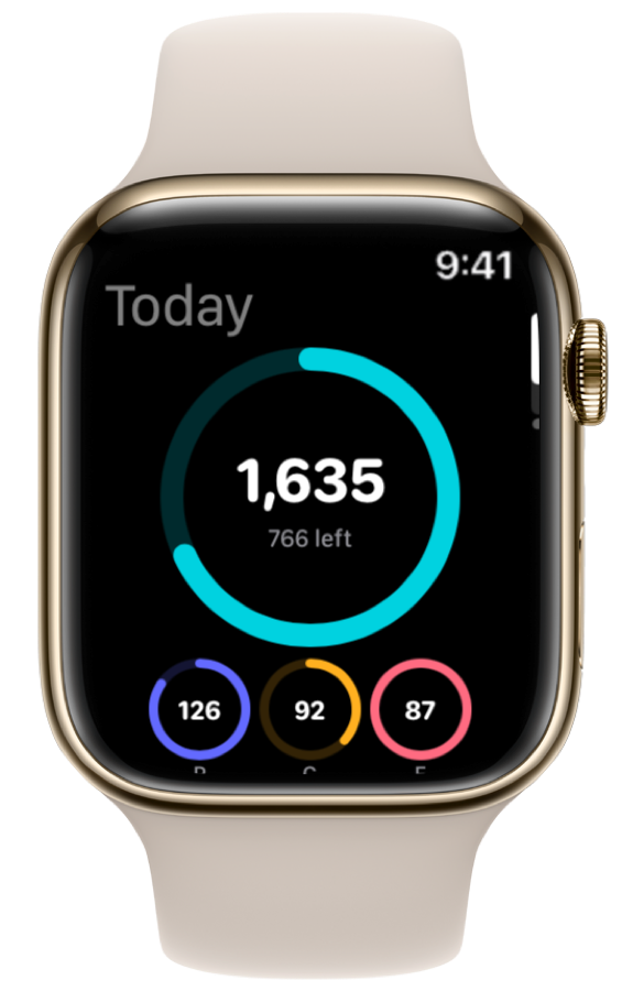 Macro dashboard on Apple Watch